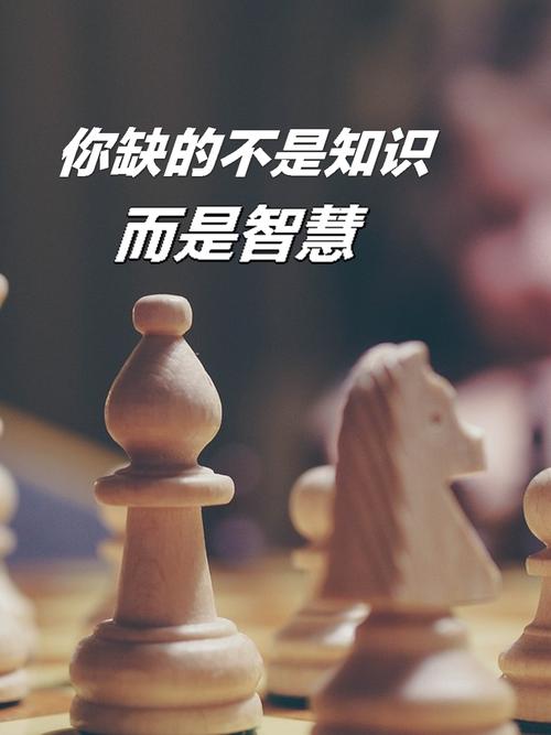 知识与智慧  第1张