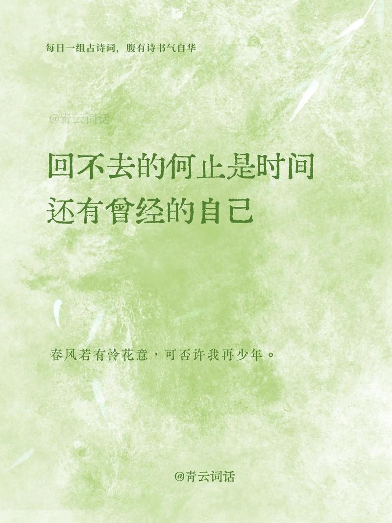 唯有时光留不住  第1张