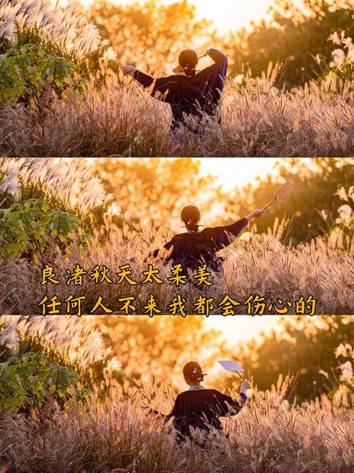 秋天里的誓言  第1张