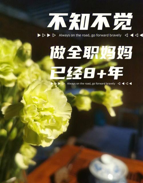 我对“全职妈妈”的几点思考  第1张