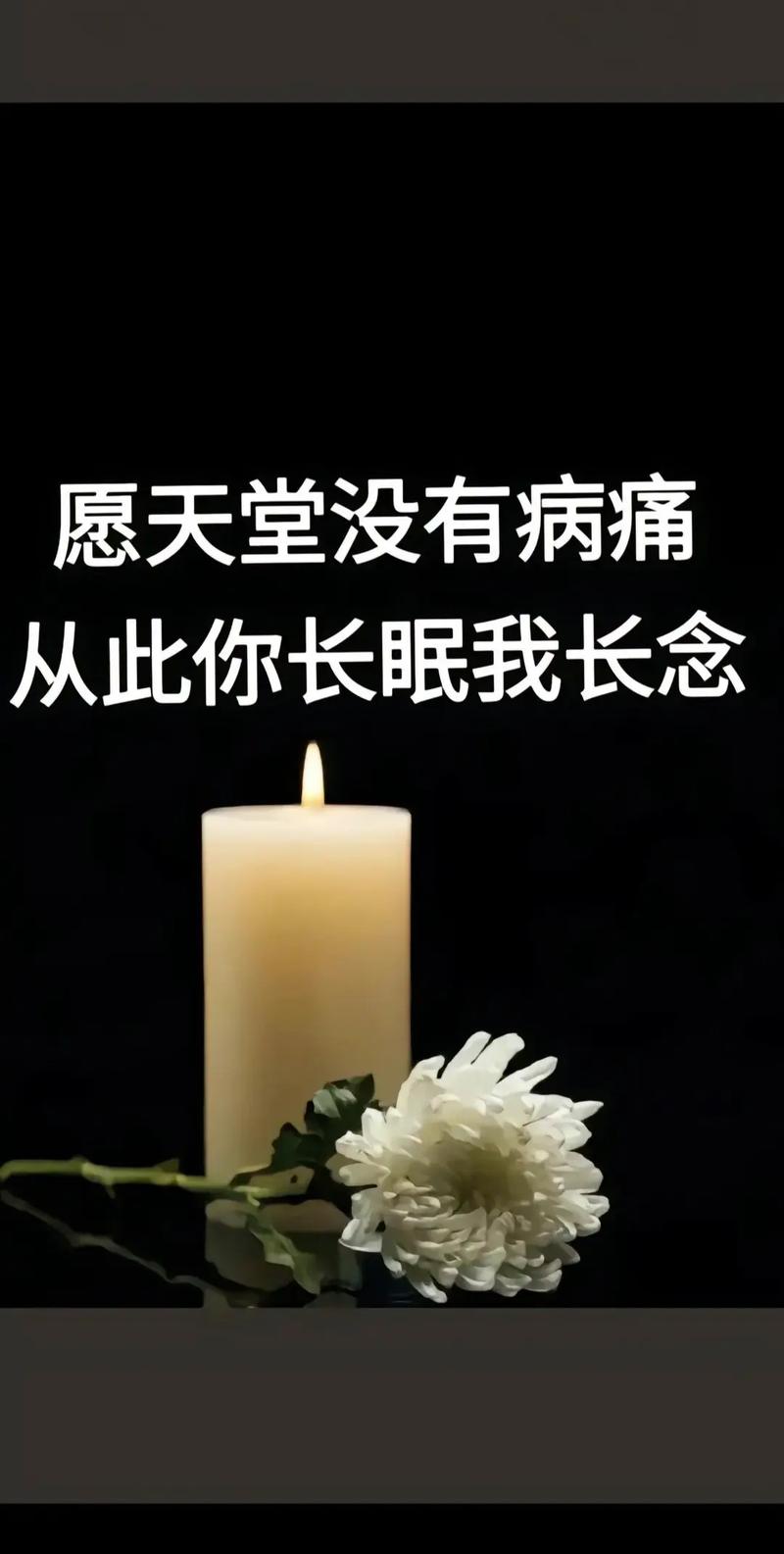 愿天堂没有病痛  第1张