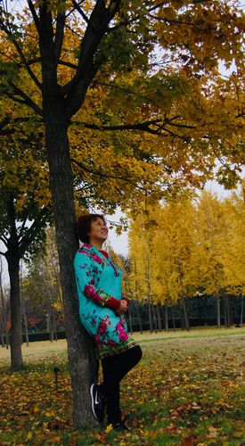 秋韵悠长（原创）  第1张