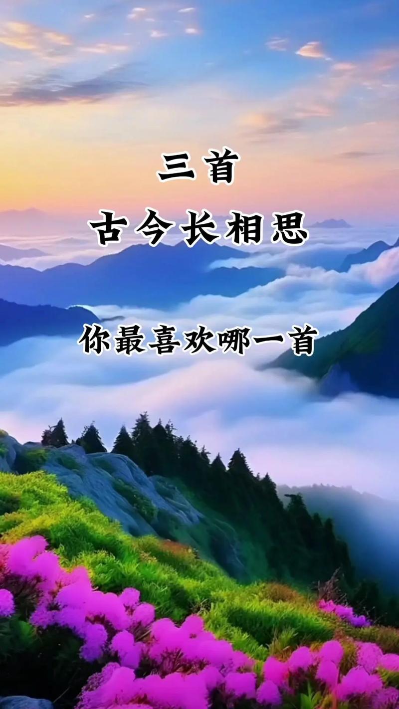 掬起一捧相思，寄给远方  第1张