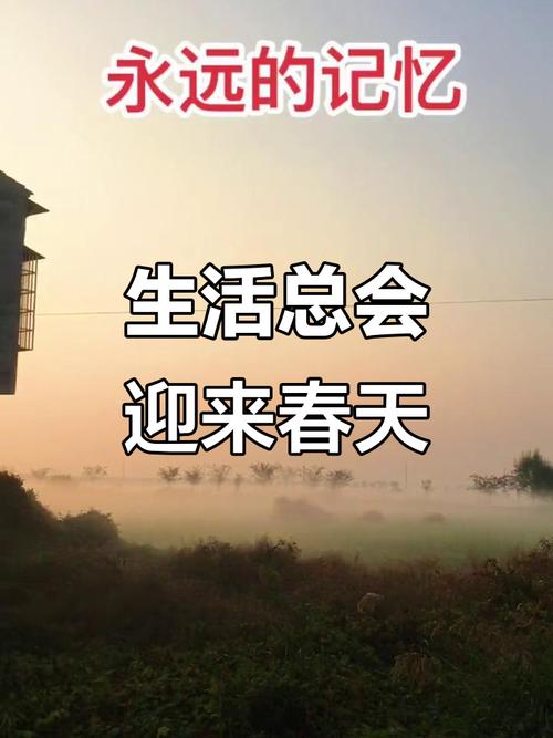 希望会更好  第1张