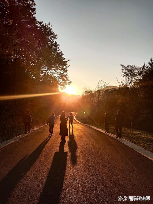 阳光晴好的日子,出去走走 第1张 阳光晴好的日子,出去走走 第1张