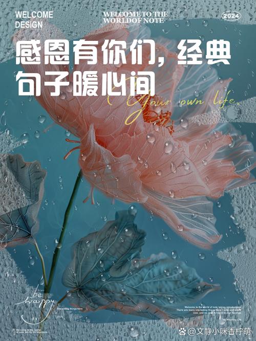 回眸凝望,感谢有你 第1张 回眸凝望,感谢有你 第1张