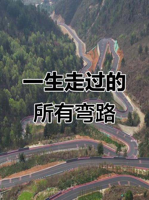 《人生必须走弯路》 第1张 《人生必须走弯路》 第1张