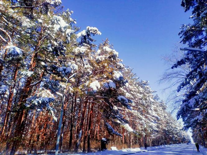 冬韵 第1张 冬韵 第1张