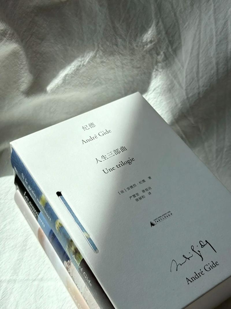 人生的意义（三部曲）  第1张