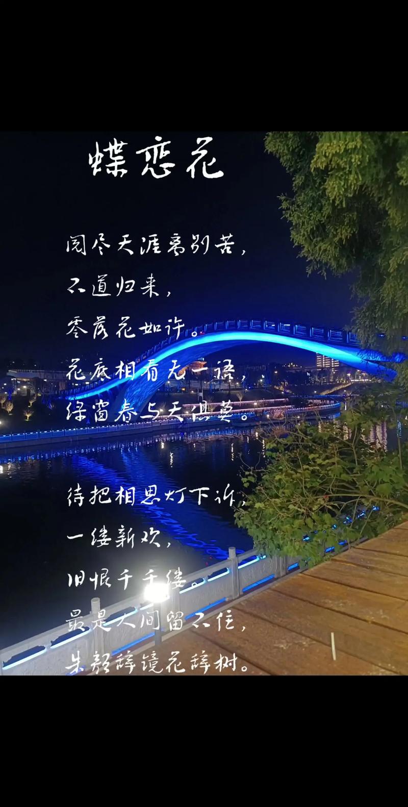 因为牵念，不言凋零  第1张