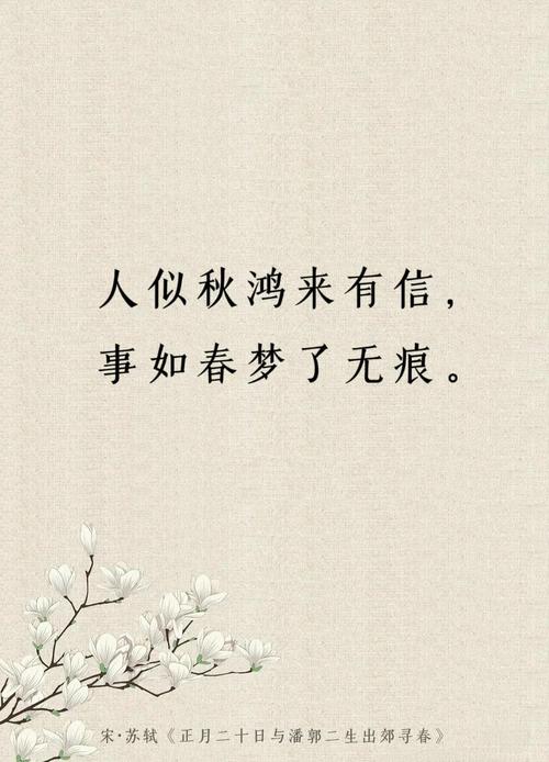 懂秋，在红尘深处.....（  第1张