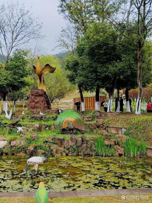 凤舞琼花，为伊而美丽  第1张