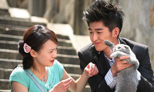 一起去追流星雨  第1张