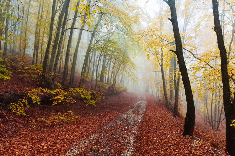 岁月的秋风  第1张