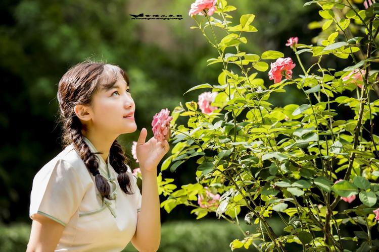 青春如花  第1张