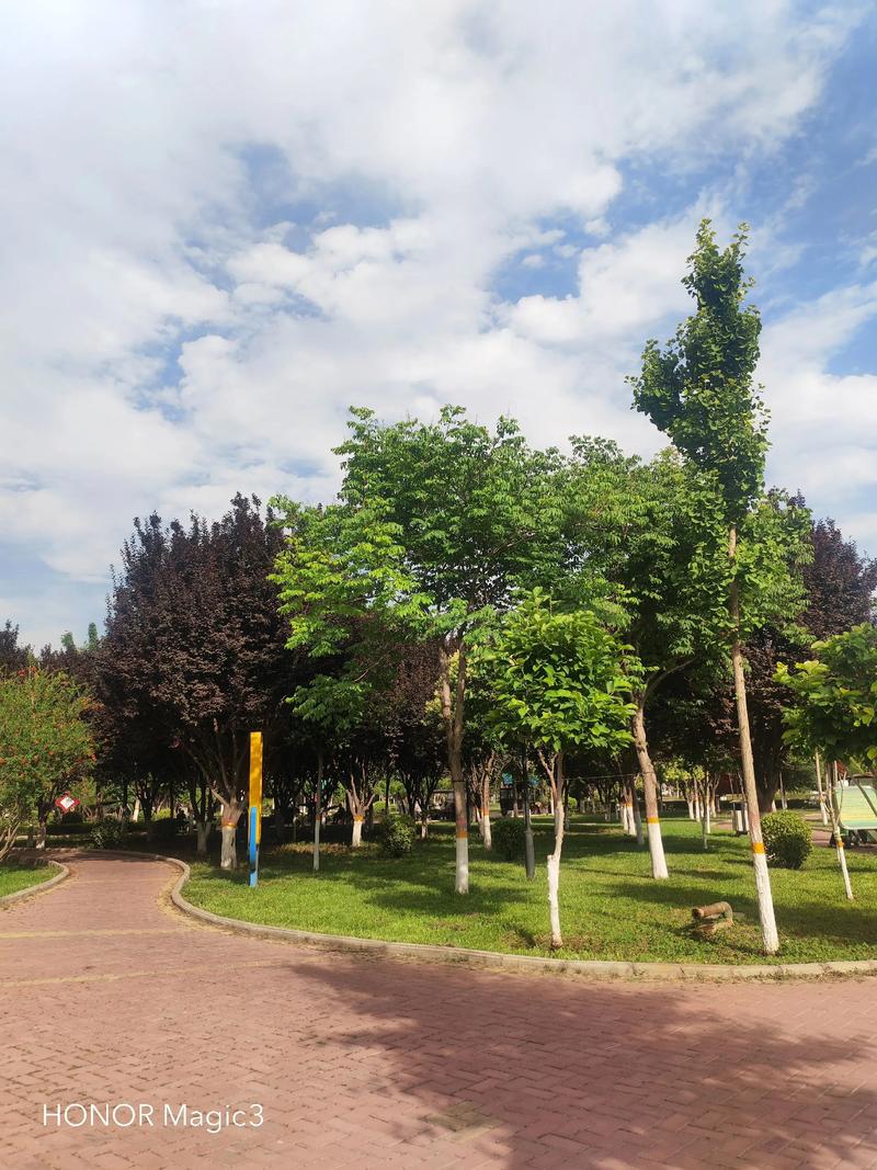 美好时光  第1张