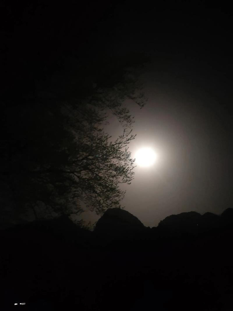 星空奈何  第1张