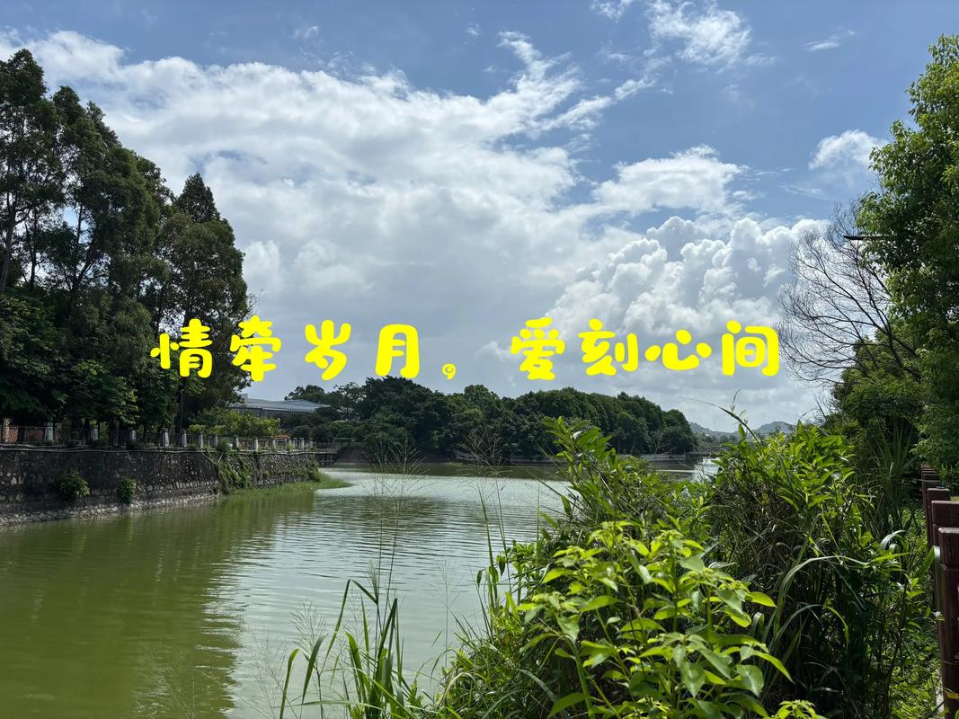 细水长流，爱在悠悠时光深处  第1张