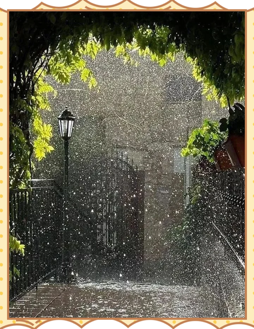 秋雨，在迷乱的思绪中飞扬  第1张