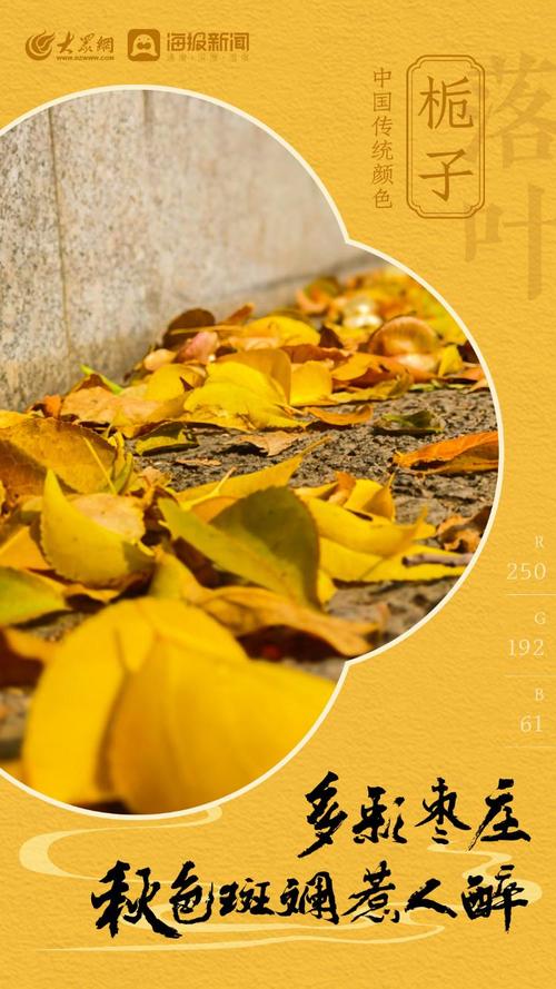 秋色斑斓，文字绚烂  第1张