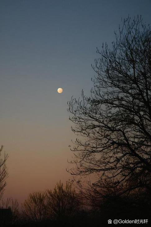 明月如水 第1张 明月如水 第1张