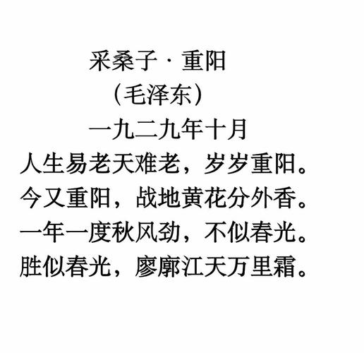 重阳还望风霜 第1张 重阳还望风霜 第1张
