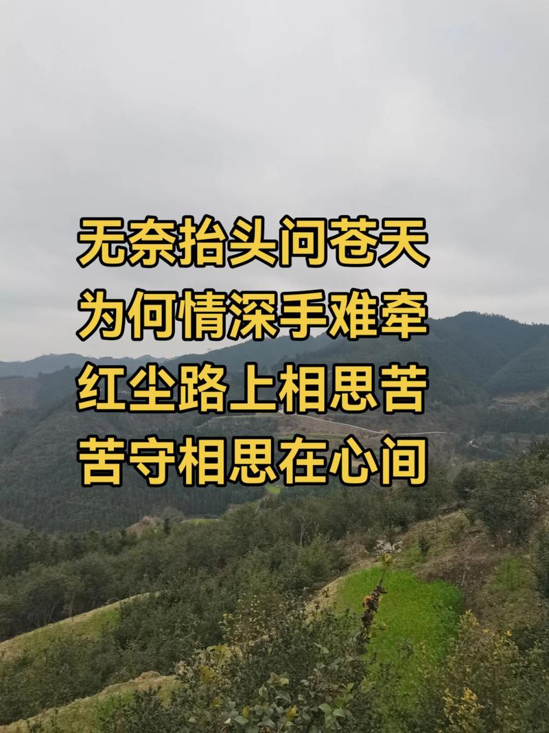 一路红尘 第1张 一路红尘 第1张