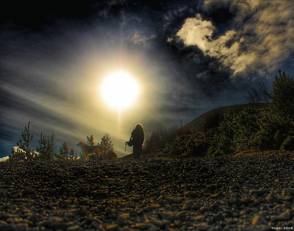 孤独，与别人无关  第1张