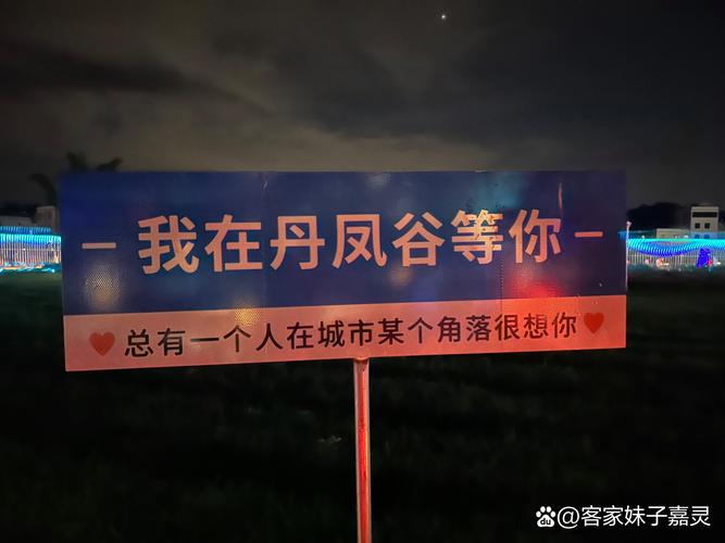 慌来慌去  第1张