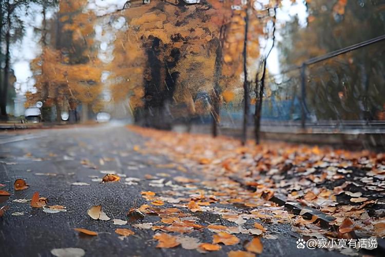 一场秋风 第1张 一场秋风 第1张