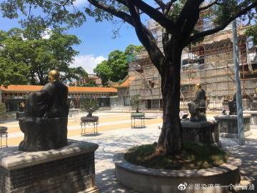 墨染流年  第1张