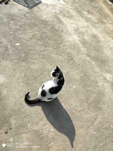 《夏日闲记》  第1张