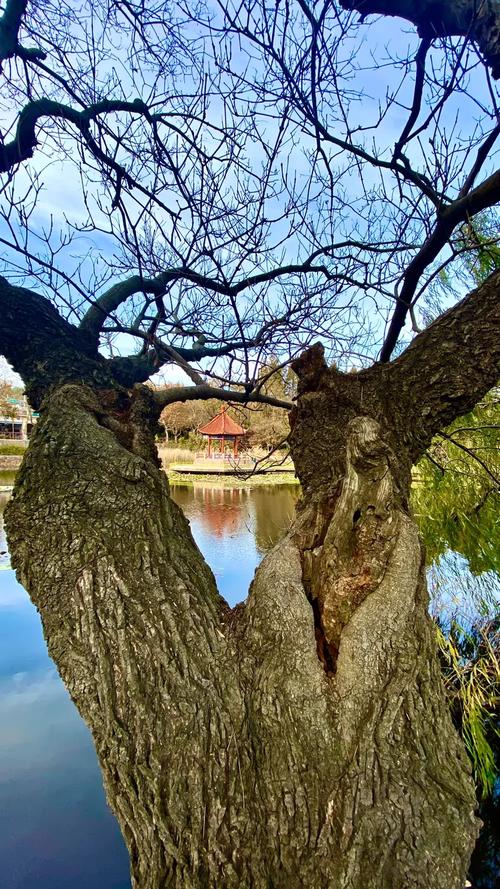 秋意阑珊 第1张 秋意阑珊 第1张