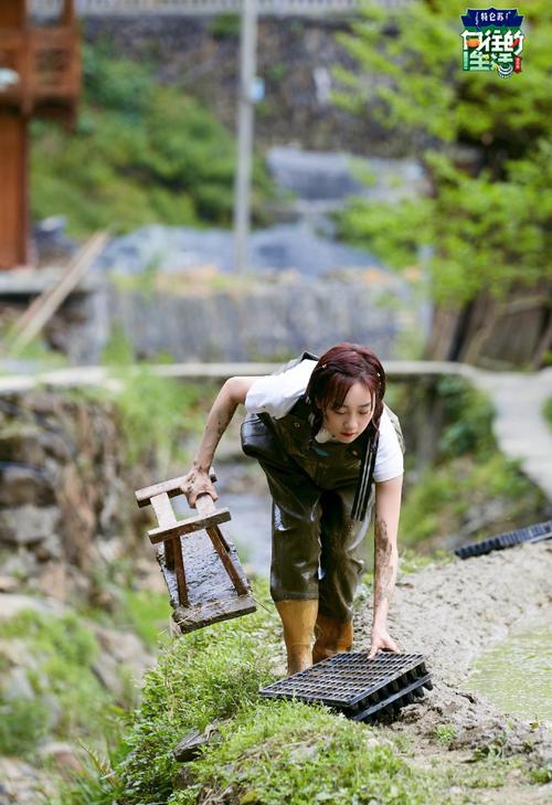 向往的生活 第1张 向往的生活 第1张