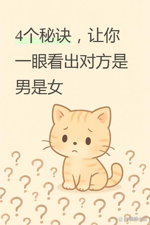 原来一个人也能很有趣 第1张 原来一个人也能很有趣 第1张