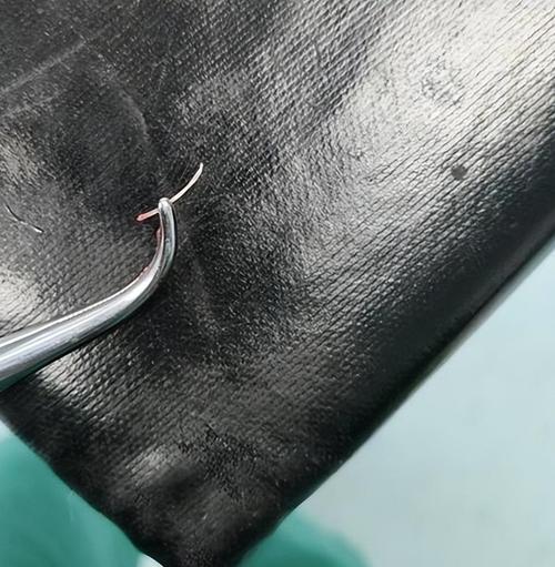 一根鱼刺 第1张 一根鱼刺 第1张