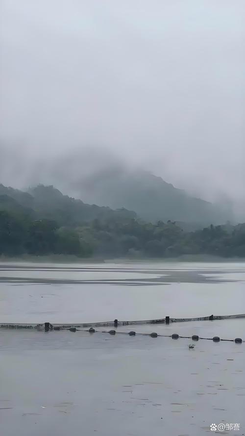 细雨  第1张