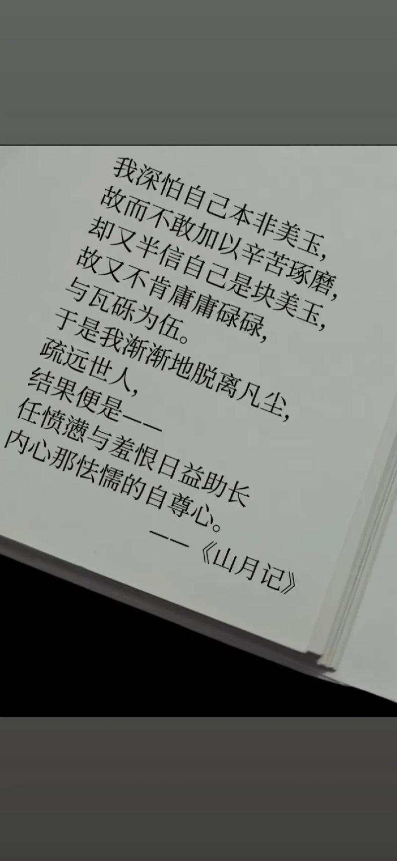 愿我是璞玉，  第1张