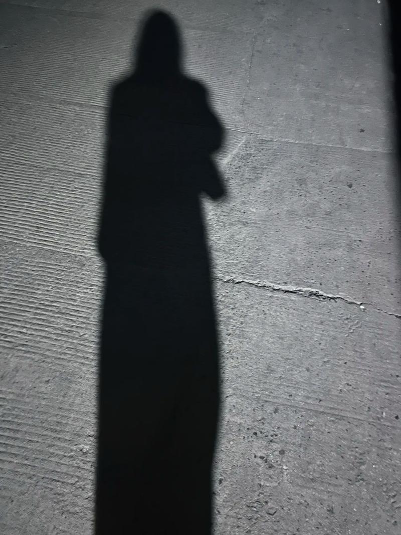 路灯下的影子格言 路灯下的影子说说  第1张