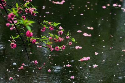 流水落花,心若云霞 第1张 流水落花,心若云霞 第1张