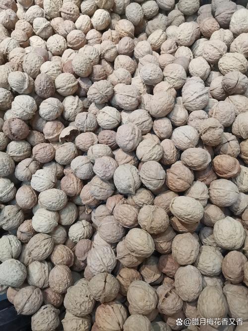 核桃，滚落的记忆  第1张
