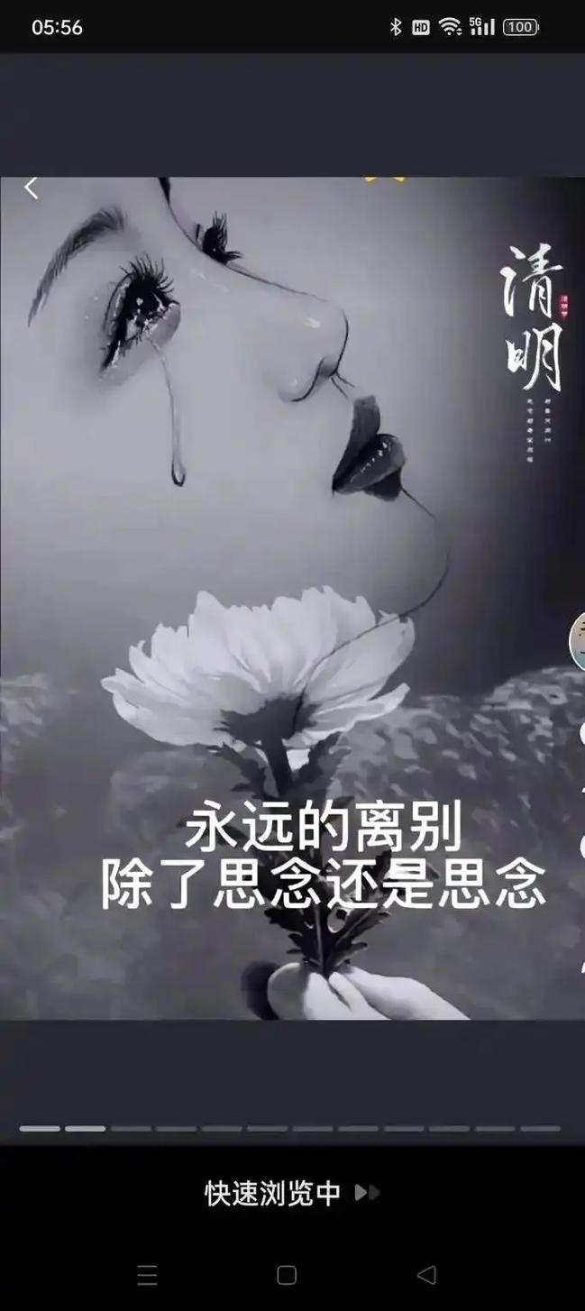 泪落 第1张 泪落 第1张