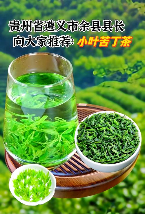 苦的滋味  第1张