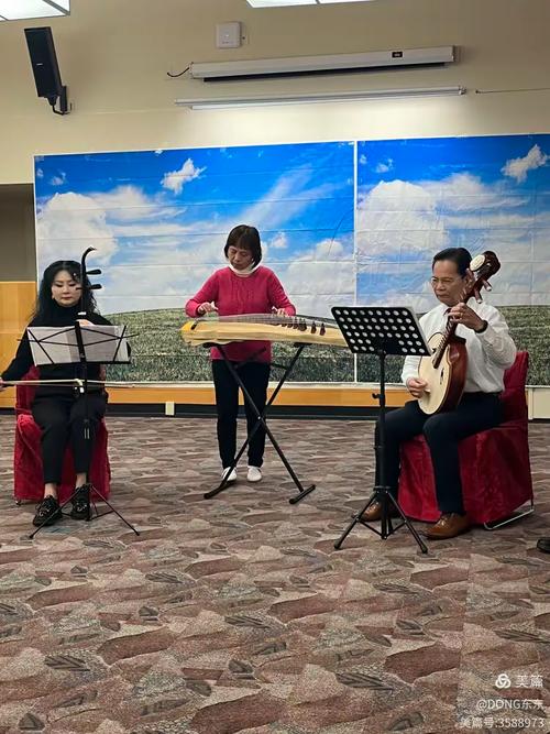 在西雅图看春晚  第1张