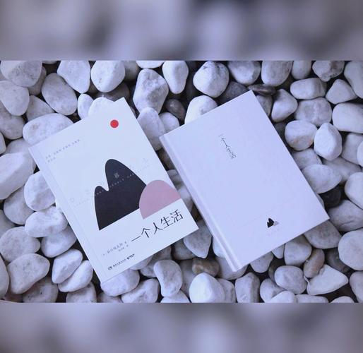 一个人的生活  第1张