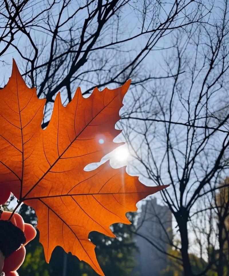 邂逅，生活里的那一抹阳光  第1张