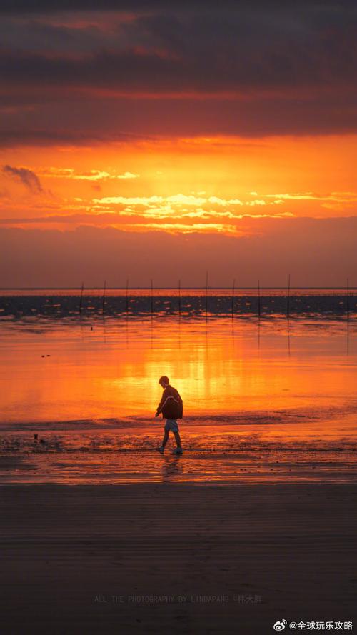 错过的风景  第1张