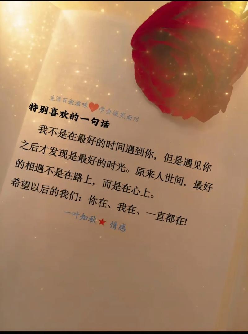 假如时光不曾让我遇到你  第1张