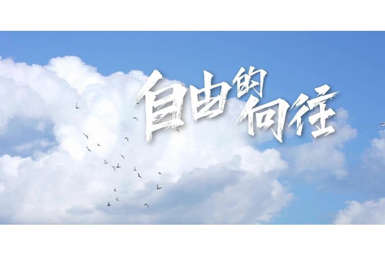 向往自由  第1张