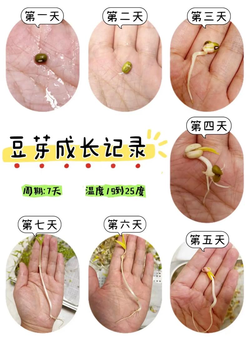 我的观察 第1张 我的观察 第1张